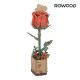 Bausatz 3D, Blume, Rose/rot