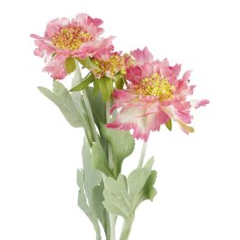 Skabiose, 3 Blüten, pink, 48 cm