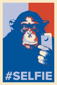 Poster Selfie Monkey, Nr. 199