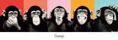 Jumboposter The Chimp - pop, Nr. 36