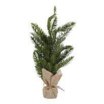 Tanne mit Ballen, grün, 40 cm
