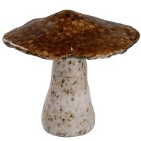 Pilz Rustik, flach/braun, 10 cm