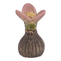 Blumenzwiebel, Blüte/rosa, 10.5 cm
