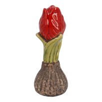 Blumenzwiebel, Knospe/rot, 11.5 cm
