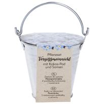 Pflanzset im Zinkeimer, Vergissmeinnicht