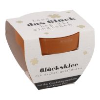 Pflanzset Kleeblatt, Glück einziehen