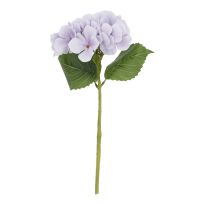 Hortensie Sophia, flieder, 35 cm