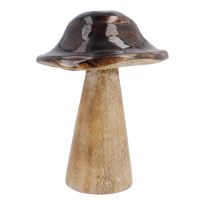 Pilz Lasur, Uni, braun, 12 cm