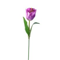 2001205000220_01_O_466821.jpg