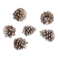 6er Set Tannenzapfen Metallic, champagner