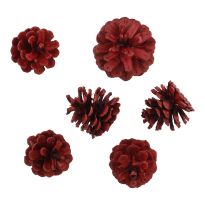 6er Set Tannenzapfen Metallic, rot
