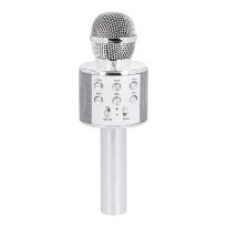 Karaoke Mikrofon, silber, 23 cm