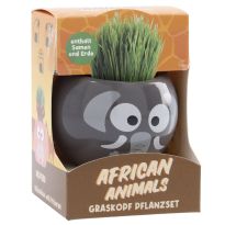 Graskopf Tier, Elefant