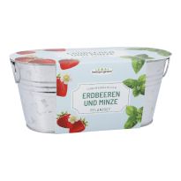 Pflanzset in Wanne, Erdbeere/Minze/rosa