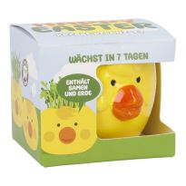 Pflanzset Kresse, Küken