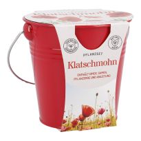 Pflanzset im Eimer, Mohn/rot