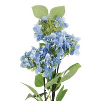 Hortensie Lily, blau, 55 cm