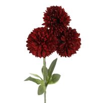 Pompom Herbst mit 3 Blüten, weinrot, 43 cm