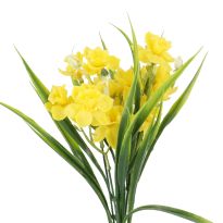 Strauß Narzisse, gelb, 34 cm