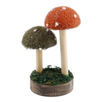 Deko-Pilz Punkte, orange/grün, 14 cm