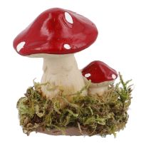 Pilz-Dekoration mit Moos, spitz/zwei, 7 cm