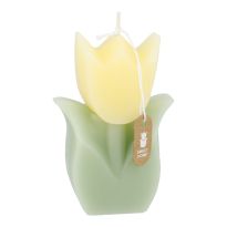Kerze Tulpe, gelb/grün, 6 x 9 cm