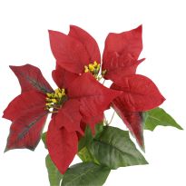 Weihnachtsstern 2 Blüten/rot, 31 cm