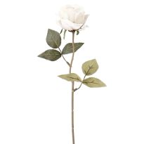 Rose Leonore, creme, 38 cm
