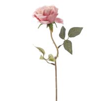 Rose Leonore, rosa, 38 cm