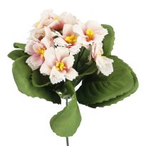 Strauß Primel, 12 Blüten, rosa, 20 cm