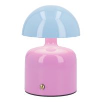 LED-Leuchte Bunt, rosa/blau, 9 x 15 cm