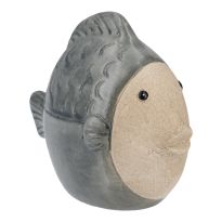 Fisch Rustik, rund/grün, 11 cm
