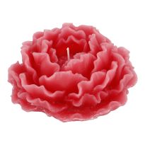 Kerze Rose, weinrot, 12 cm