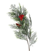 Zweig Thuja mit Beeren, grün/rot, 75 cm