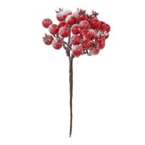 Beeren-Bündel, rot