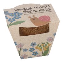 Pflanzset Kokostopf, Vergissmeinnicht, 8 cm