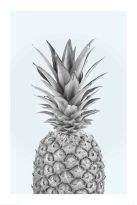 Poster Pineapple, Nr. 51