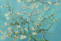 Poster Van Gogh Amandelbloesem, Nr. 71