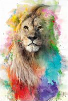Poster Multicolor Lion, Nr. 94