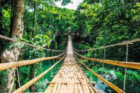 Poster Jungle Bridge, Nr. 117