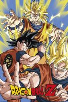 Poster Dragon Ball Z - Goku, Nr. 118
