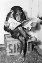 Poster Ape News, Nr. 159
