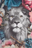 Poster Soft Lion, Nr. 207