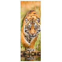 Jumboposter Big Tiger Walking, Nr. 33