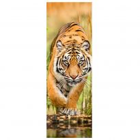 Jumboposter Big Tiger Walking, Nr. 33