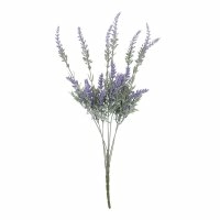 Lavendel