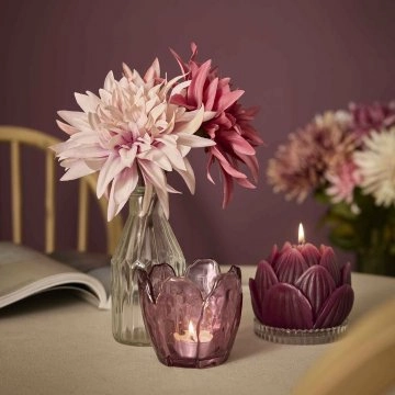 Dahlie Herbst, rosa/lila, 27 cm