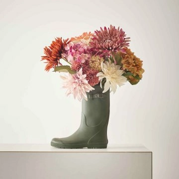 Hortensie Herbst, orange, 46 cm