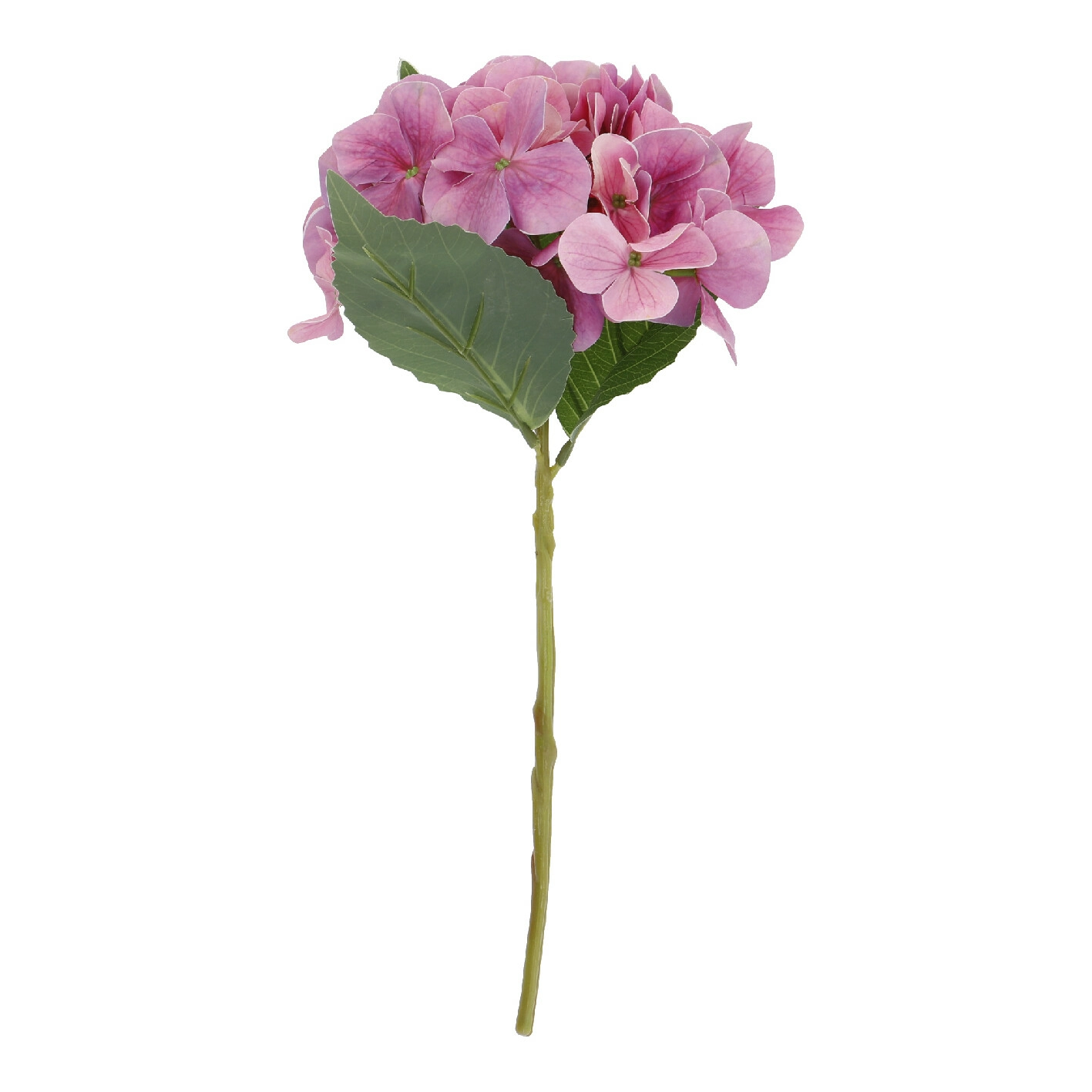 Hortensie Sophia, rosa, 35 cm