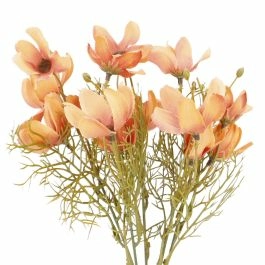 Daisystrauß Herbst, apricot, 33 cm